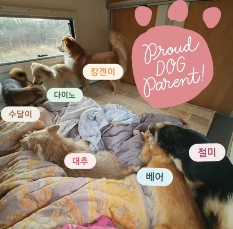 우다다 이미지