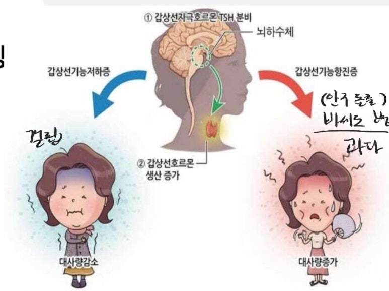 동호칼슘 이미지