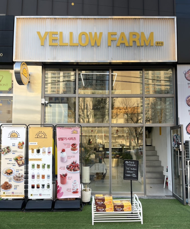 옐로우팜광주 이미지