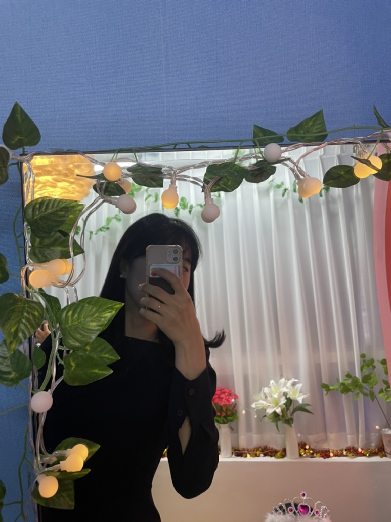 파티스토리 이미지
