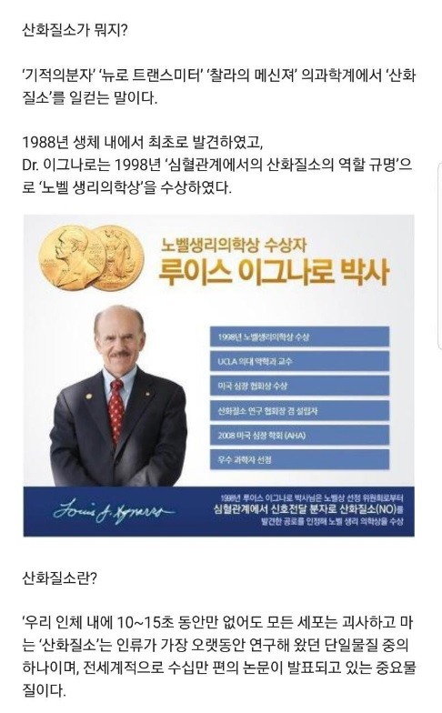으뜸인터내셔널 이미지