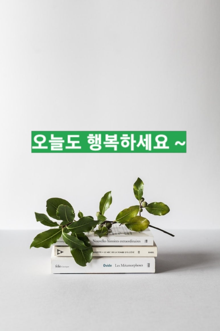 오남초등학교 이미지