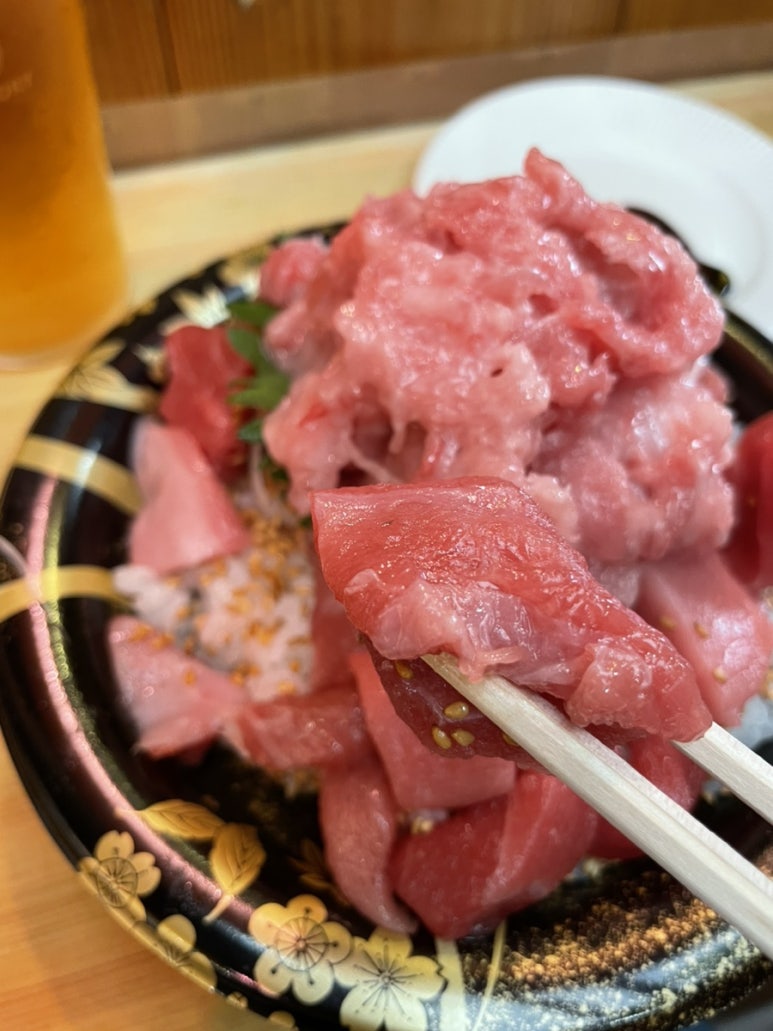 참치여행 이미지
