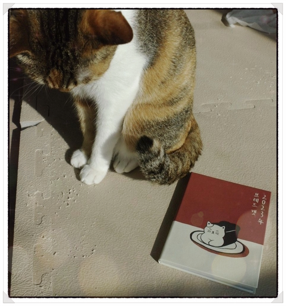 부성상회 이미지