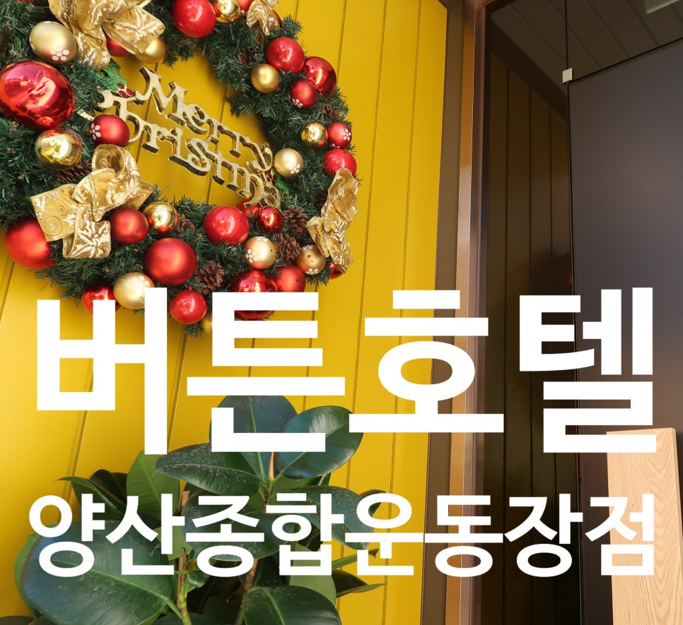 버튼호텔종합운동장점 이미지