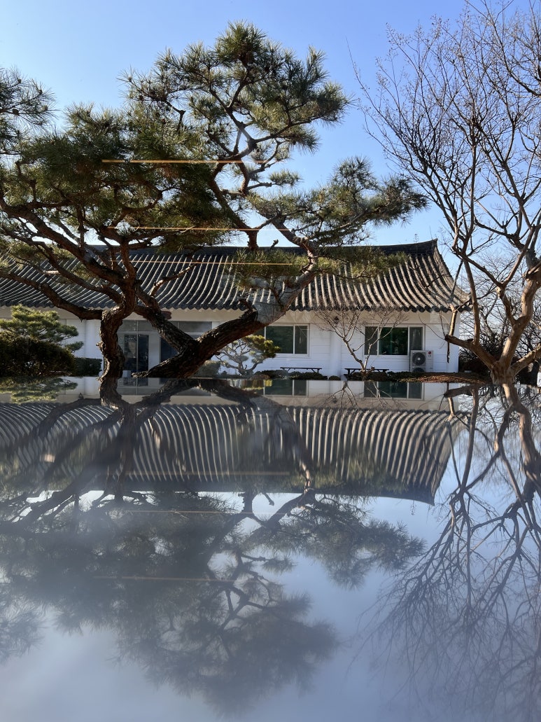 참뽕중화요리 이미지