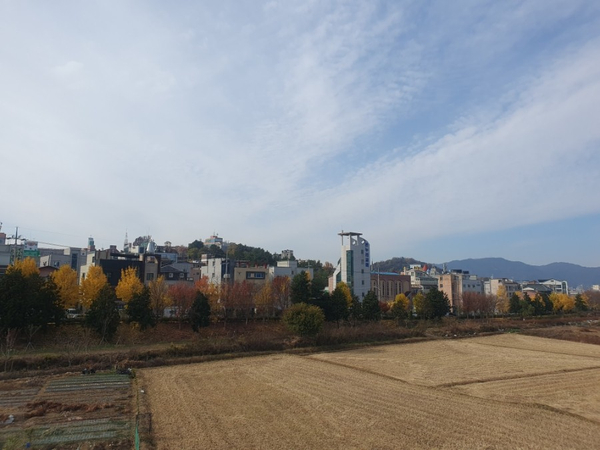 죽림석유 이미지
