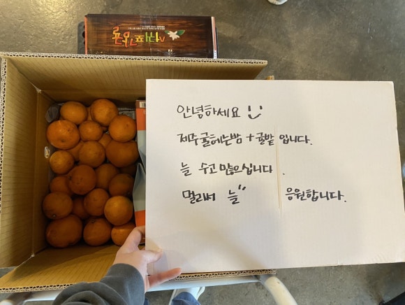 박스비 이미지