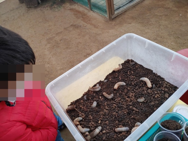 찬우물버섯농장 이미지