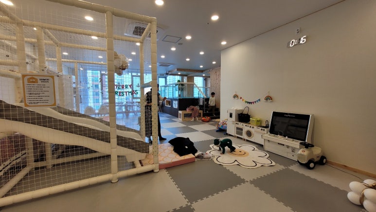 스위밍베베 이미지