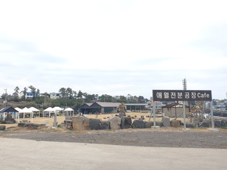 제주전분(주) 이미지