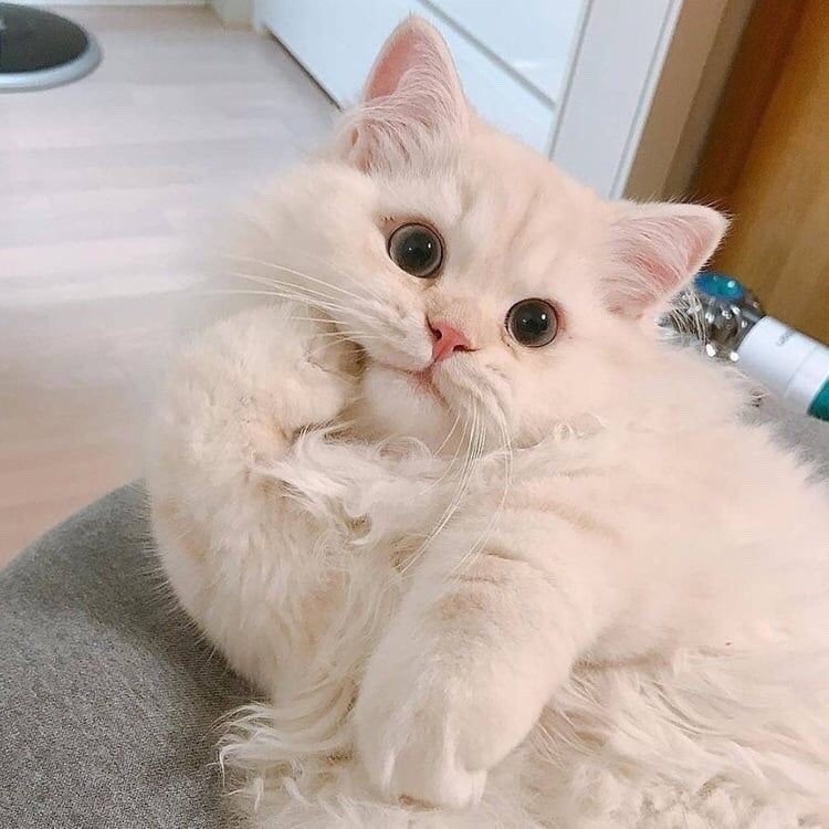 하루떡방 이미지