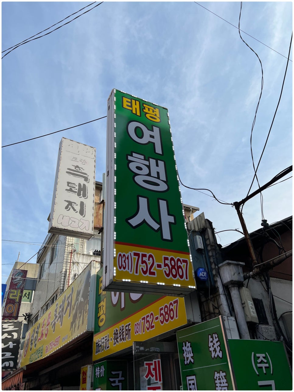 태평여행사 이미지