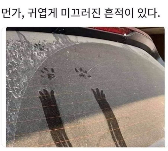 이듬해 이미지
