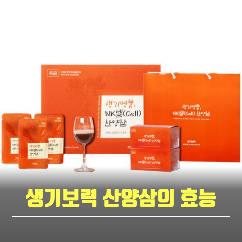 생기보력 이미지