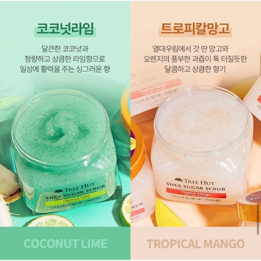 슈가트리 이미지