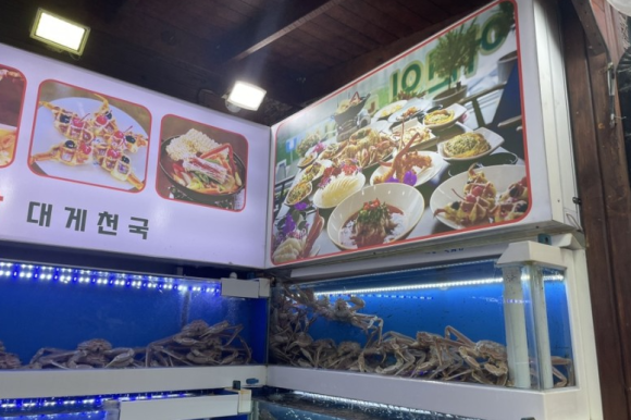 대게천국 이미지