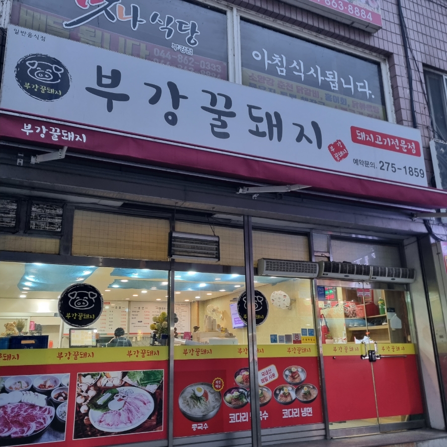 부강 꿀돼지 이미지