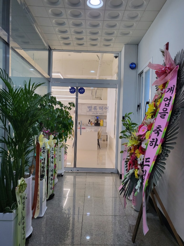 벨류헤어 이미지