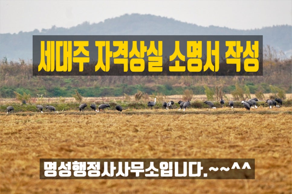 명성행정사사무소 이미지