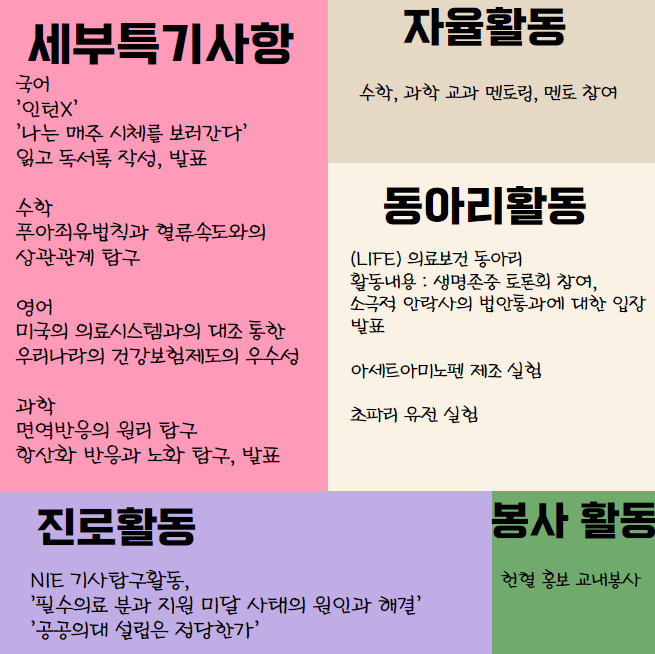 파피루스입시컨설팅 이미지