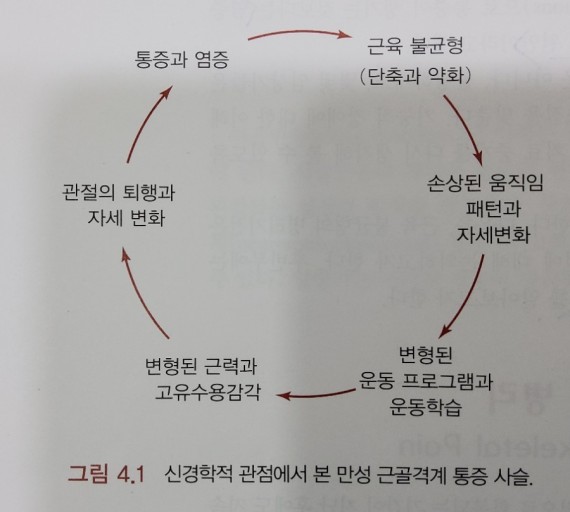 바른체형교정운동 이미지