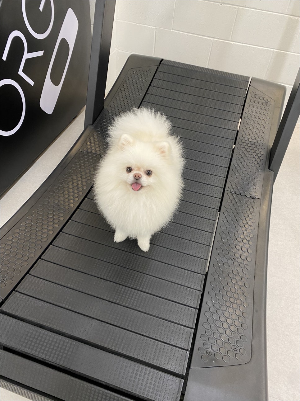 더포유 이미지