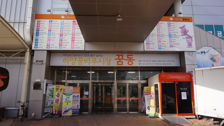 하양풍기인삼 이미지