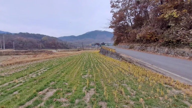 곡성우체국 이미지