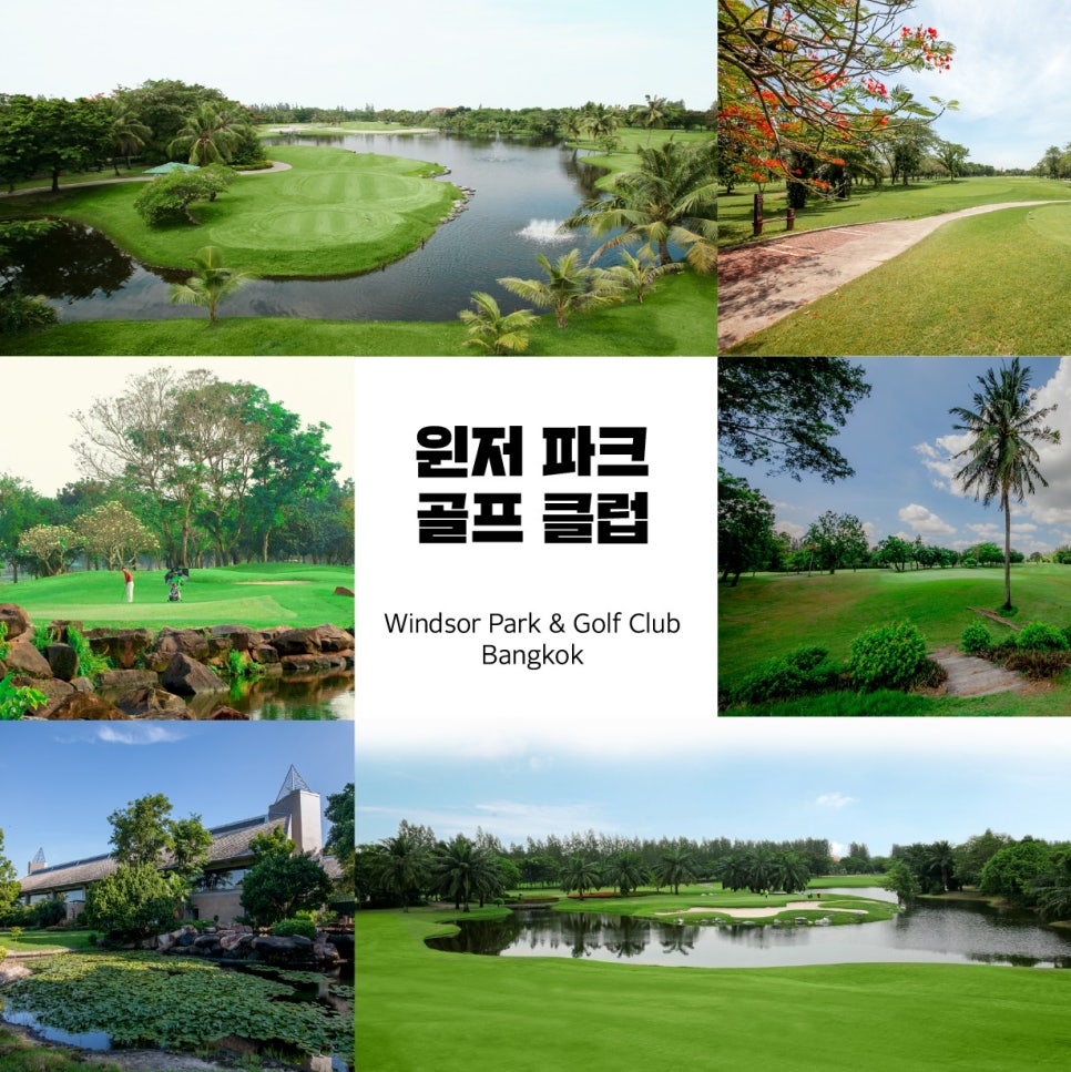 제이엠투어여행사 이미지