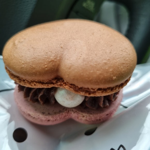 달맛디 이미지