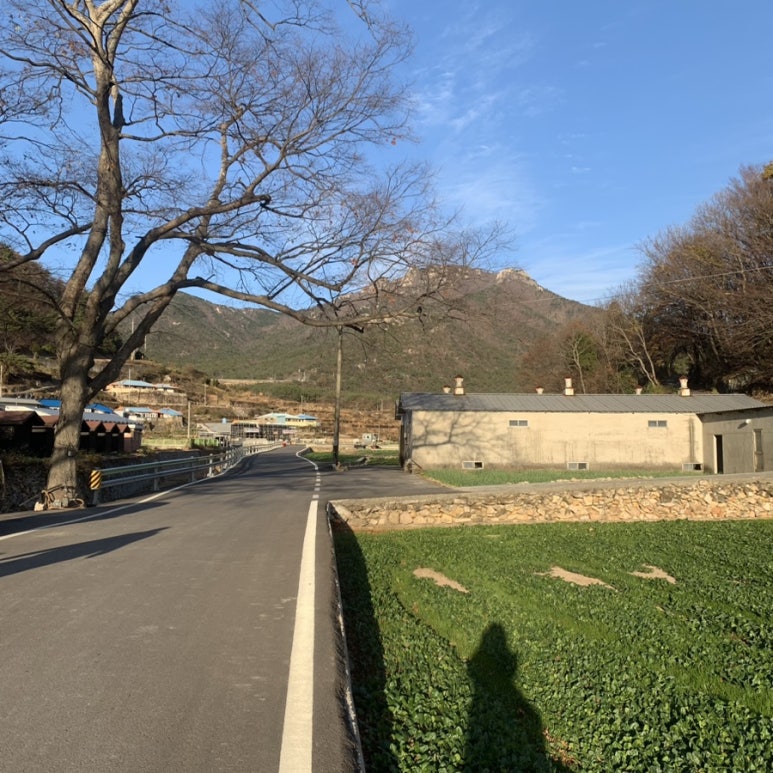 두모바일 이미지