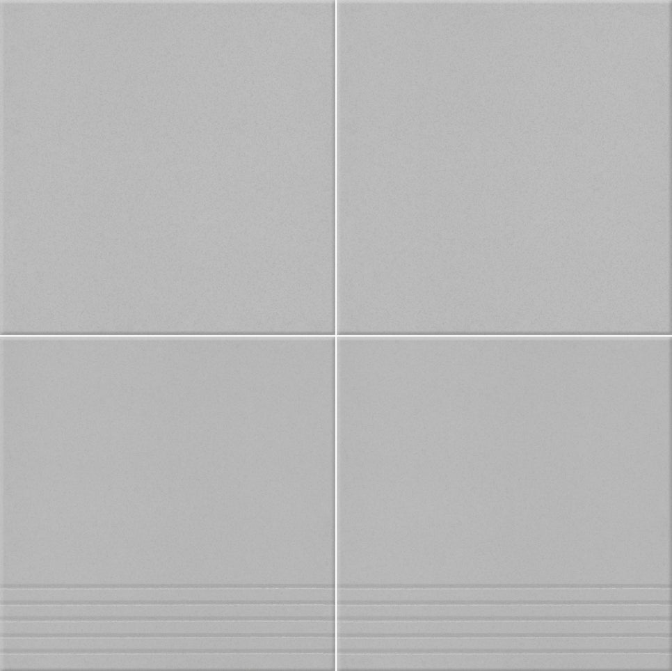 디오티 이미지