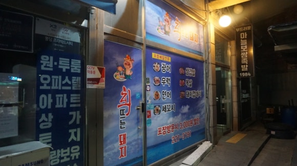회뜨는돼지 이미지