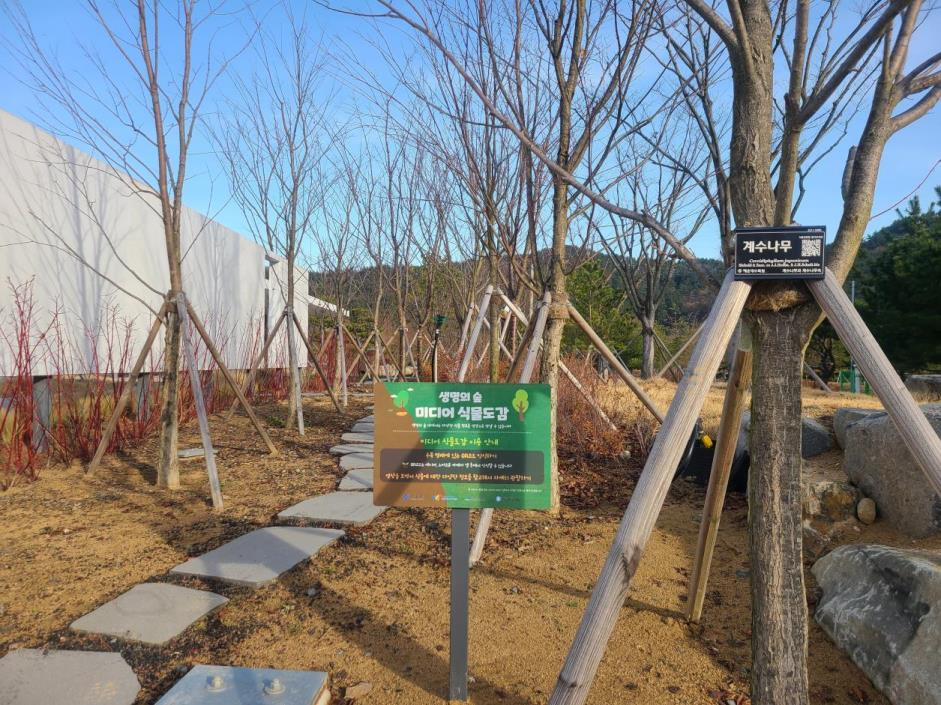 부산해운대시니어클럽 이미지
