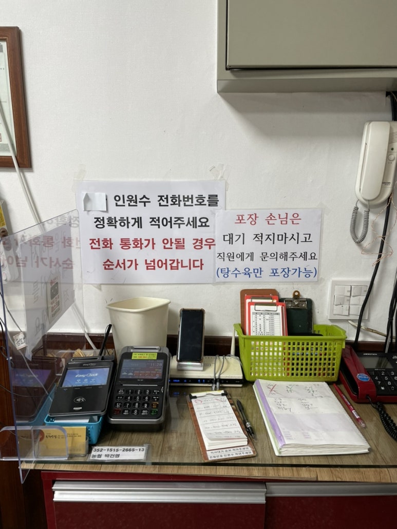 목화반점 이미지