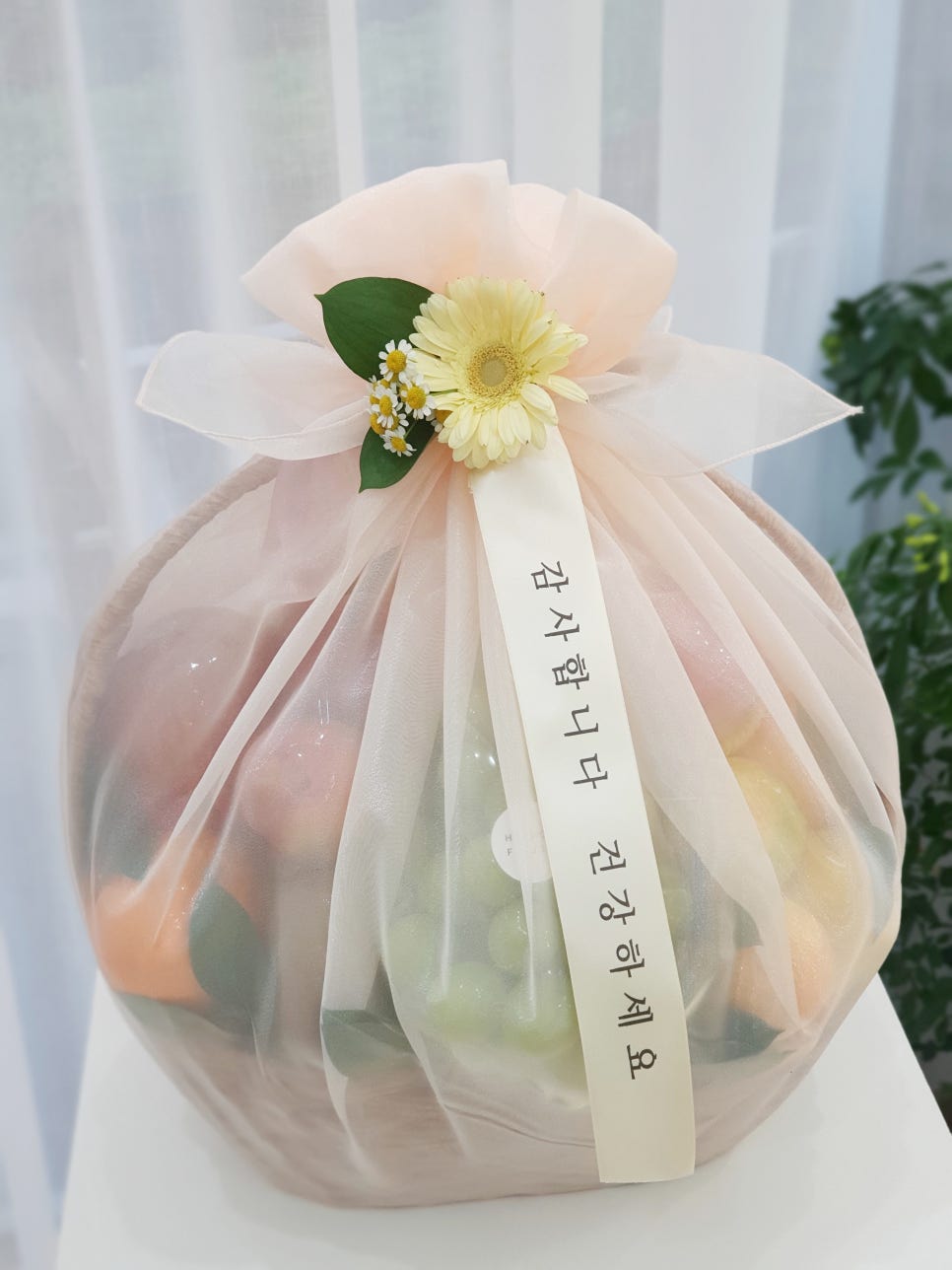 수지청과 이미지