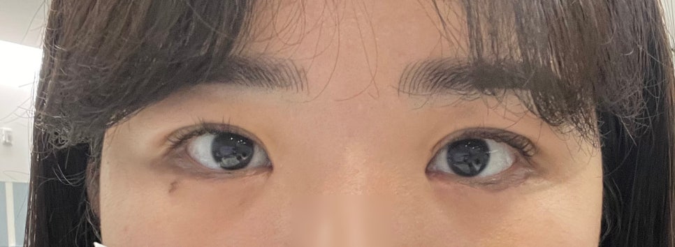 에스에이치의원 이미지