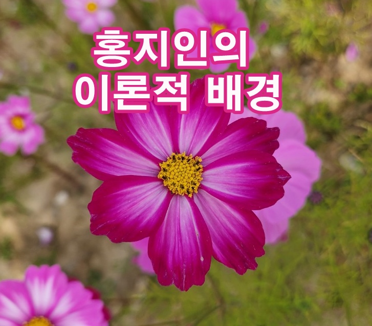 홍지인 이미지