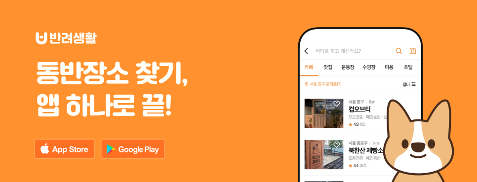 캄힐스위트 이미지
