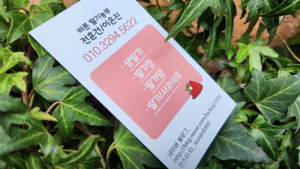 미녀딸기 이미지