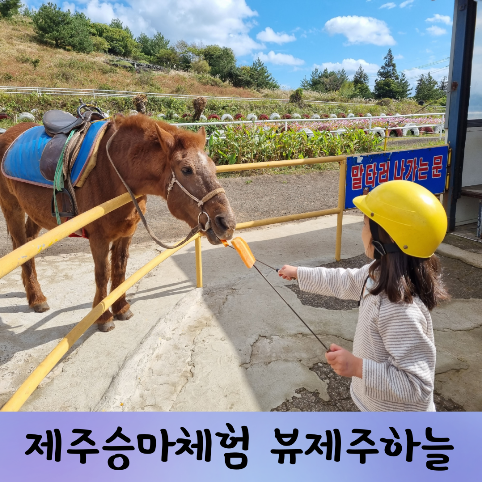 성산렌트카주 이미지