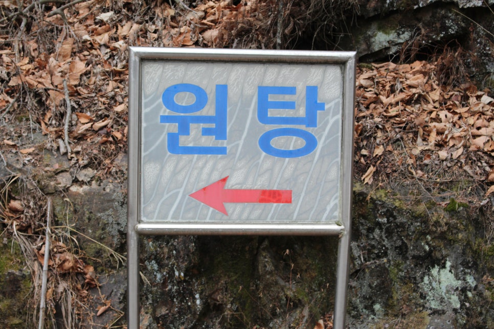 원탕분식 이미지