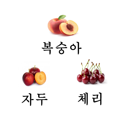 바른정한의원 이미지
