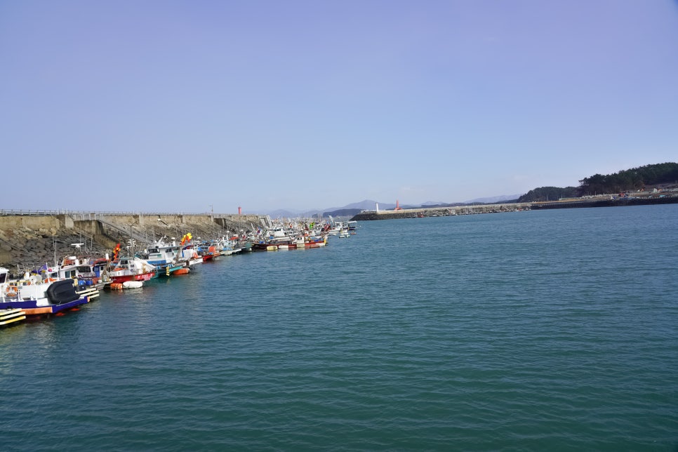 서해바다수산 이미지