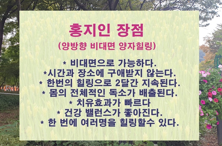홍지인 이미지