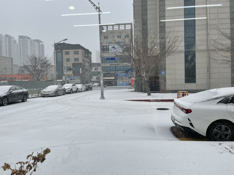 예송프랑스자수 이미지