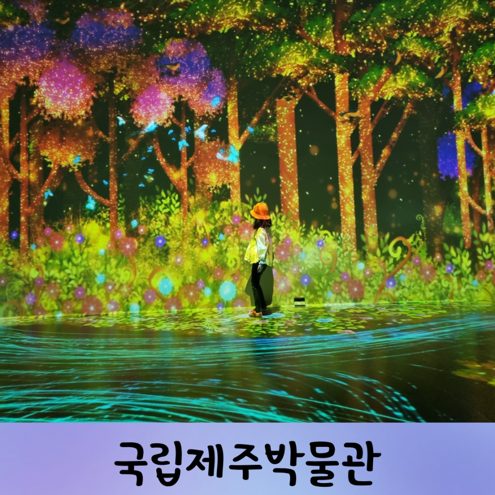 성산렌트카주 이미지