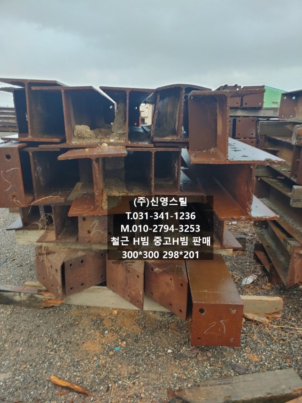 단빔 이미지