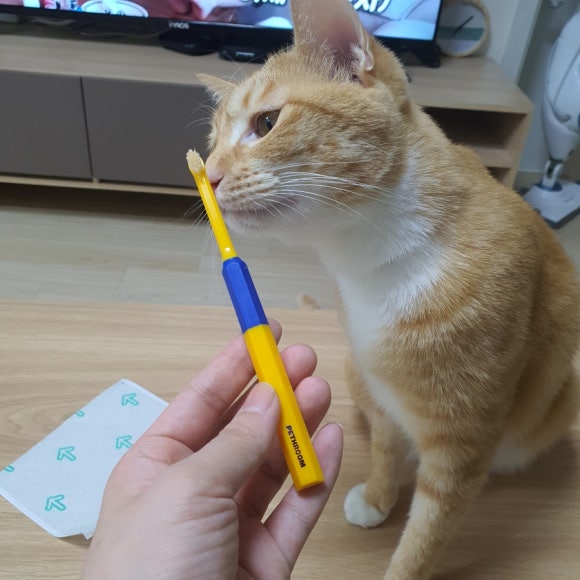 주주클린 이미지